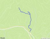 Trace de Fada de Benji